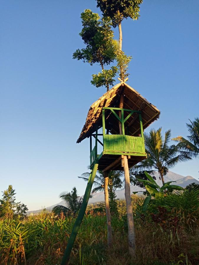 Mudung Keramat Homestay Sapit المظهر الخارجي الصورة